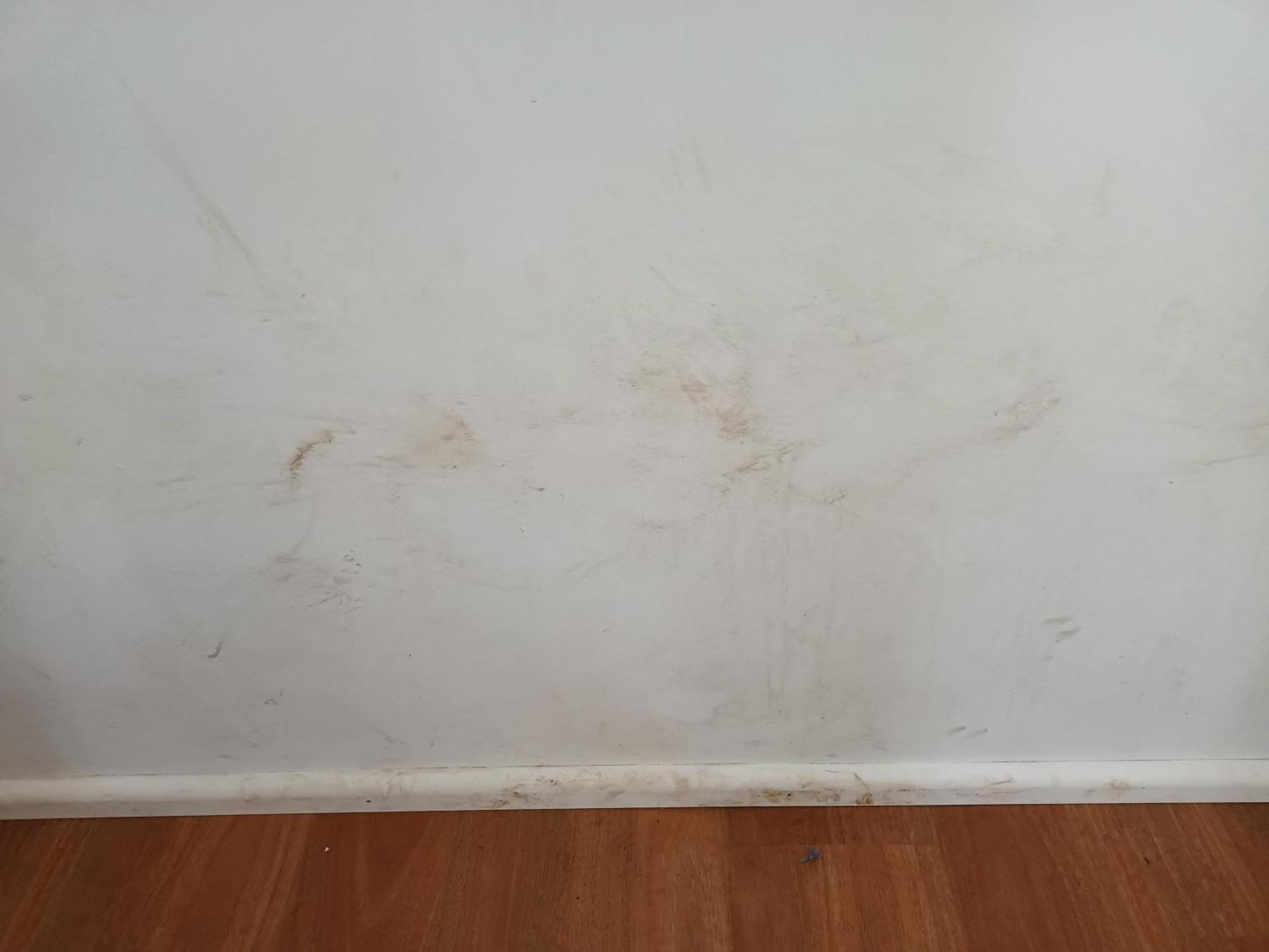Single Room In Wollongong Near Uni Keiraville Номер фото